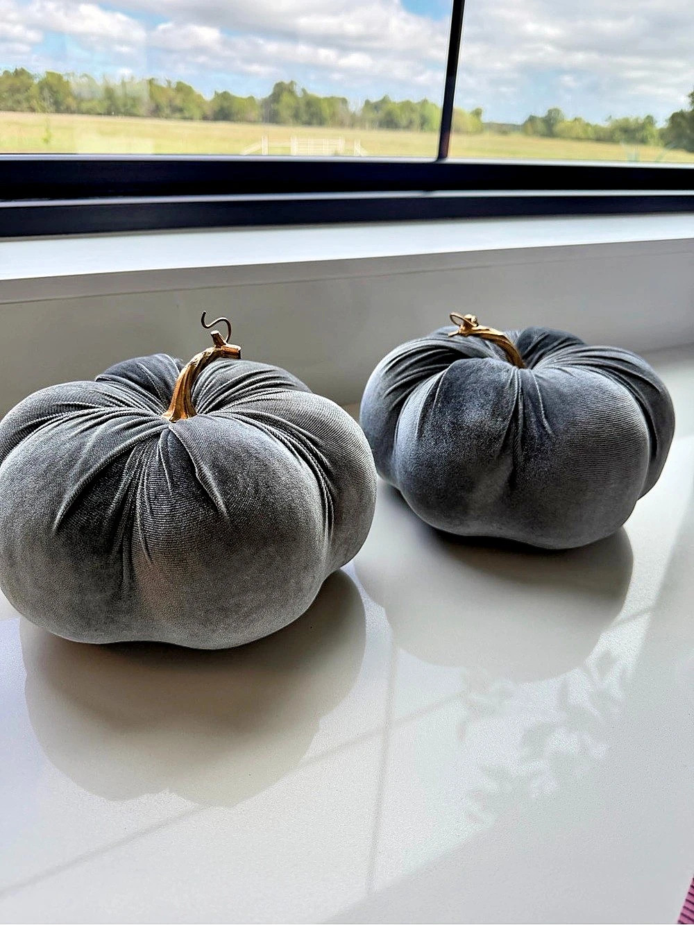 Gray Velvet Pumpkins Set of 2